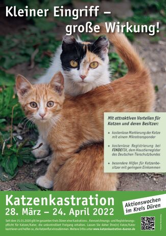 Aktuelles Kampagnenposter in grüner Farbaufstellung, Text und dem Bild zweier Katzen.